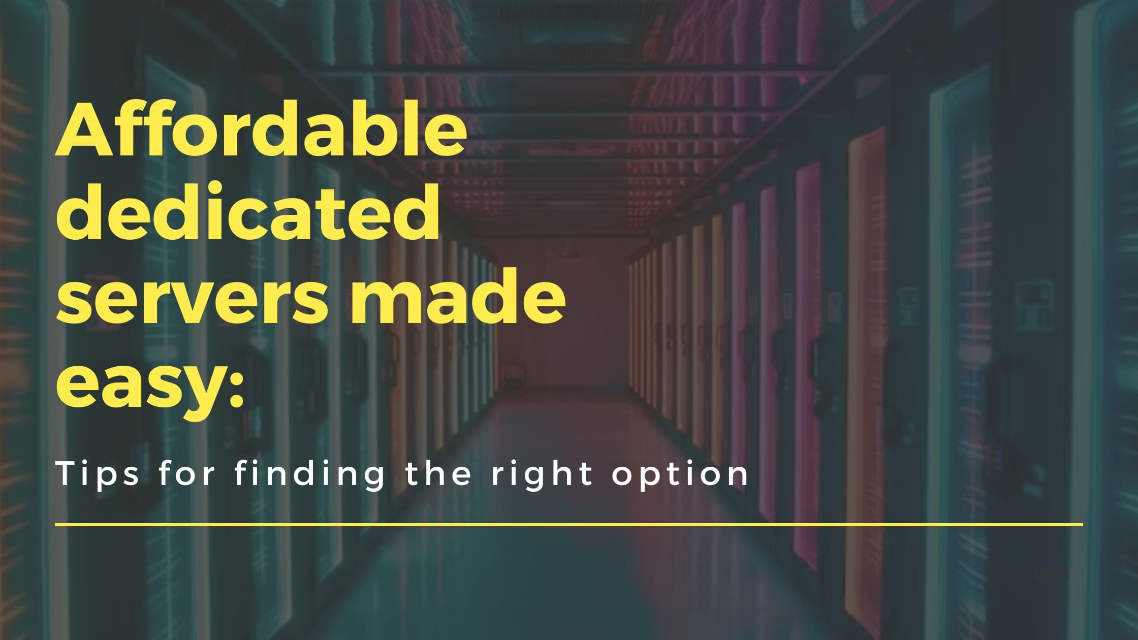Affordable dedicated servers made easy Tips for finding the right option