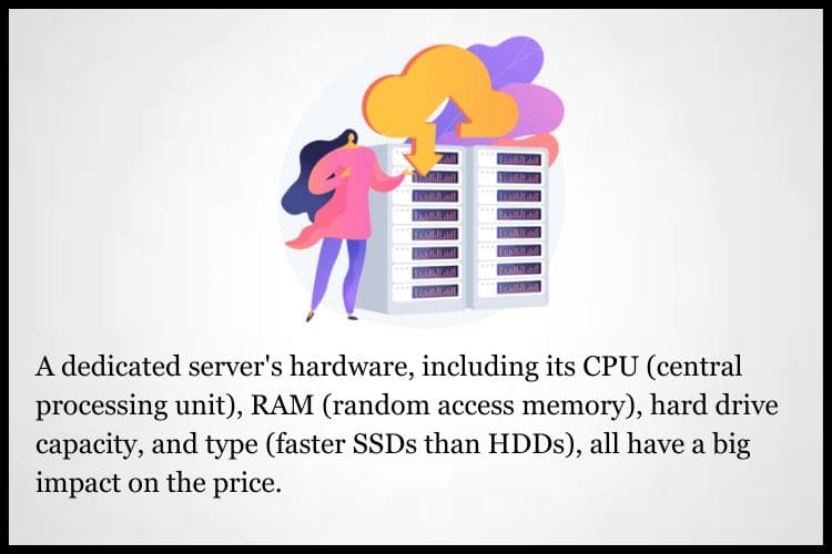 A dedicated server's hardware, including its CPU (central processing unit), RAM (random access memory), hard drive capacity.